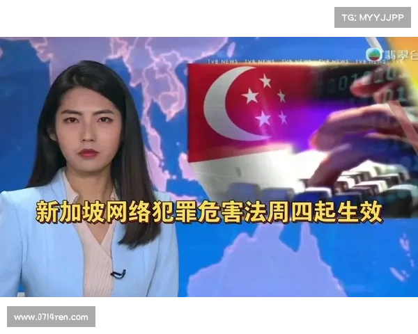 新加坡抓获全球网络犯罪集团成员 媒体 新加坡抓获全球网络犯罪集团成员 媒体